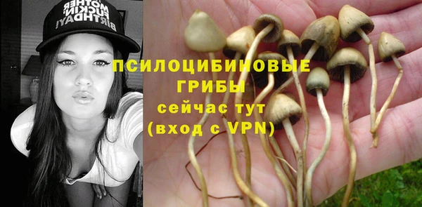 тгк Алексеевка