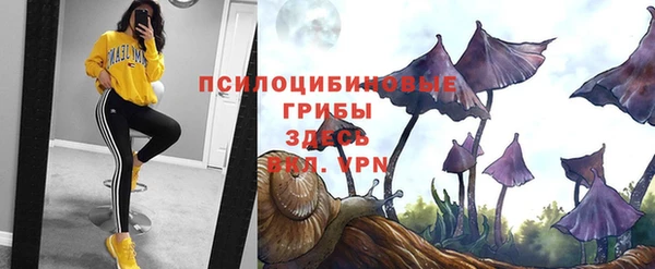 гашиш Алексин
