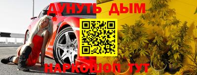 бошки Гатчина