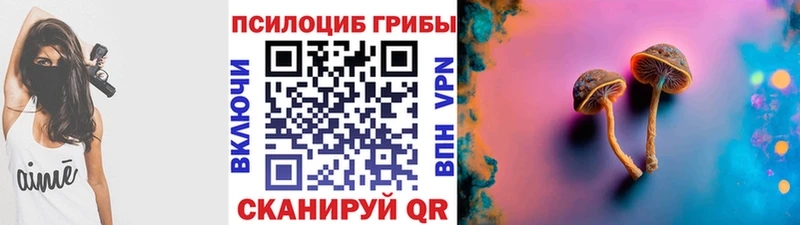 Галлюциногенные грибы Magic Shrooms  Кириши 