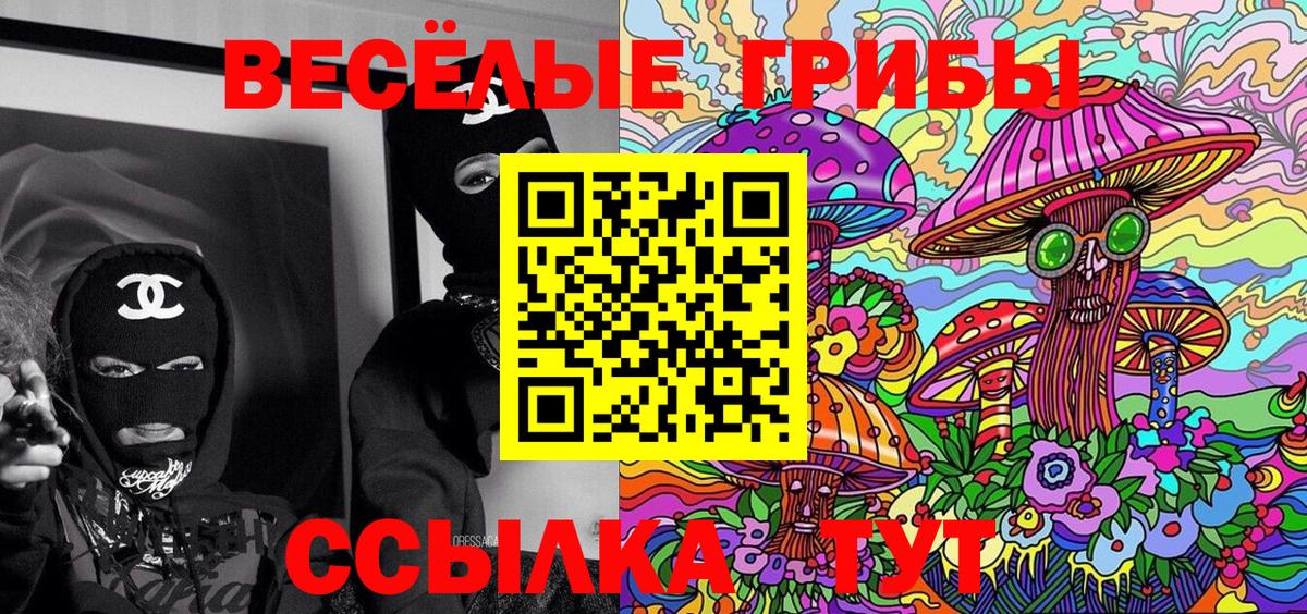 МЕТАДОН Кириши