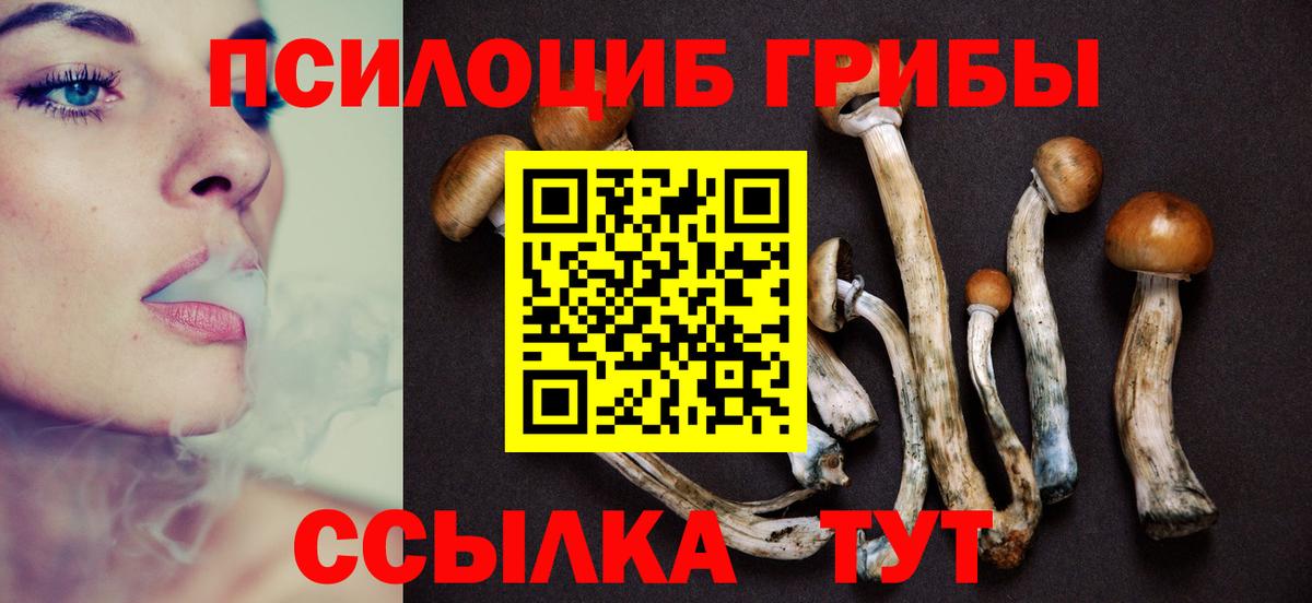 Псилоцибиновые грибы Cubensis Кириши